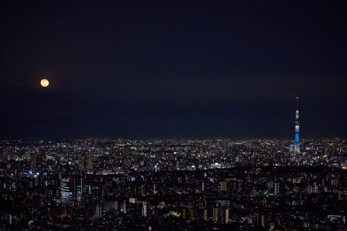 サンシャイン60展望台から望む月