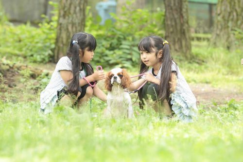 わんちゃんも楽しめる
