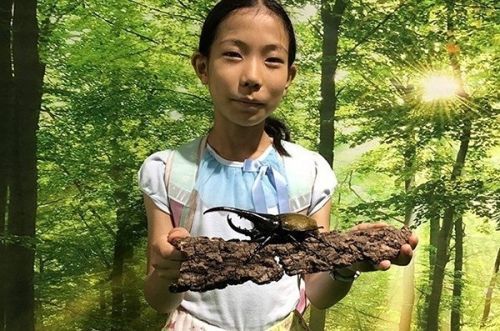 フォトスポット※画像はイメージです