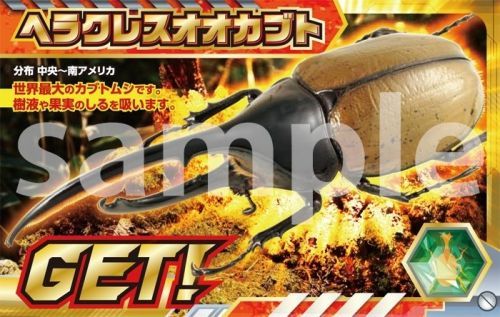 『角川の集める図鑑ＧＥＴ！ 昆虫』カードイメージ