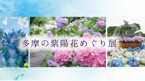 秋川渓谷あじさいまつりコラボ企画展