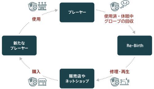 Re-Birthが目指すグローブの循環図