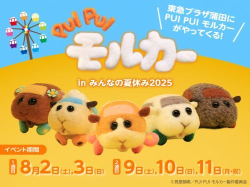 「PUI PUI モルカー in みんなの夏休み2025」キービジュアル　©見里朝希／PUI PUI モルカー製作委員会
