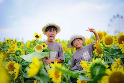夏のブチアゲフォトコンテスト開催　イメージ