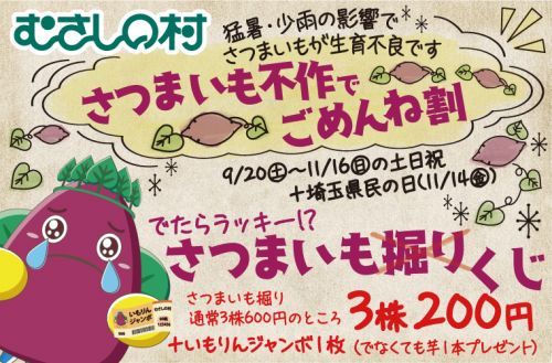 【さつまいも不作でごめんね割】でたらラッキー！？さつまいもくじ(掘り)