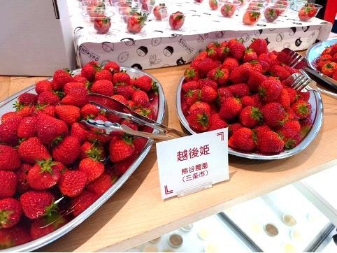 昨年のストロベリーパークの様子