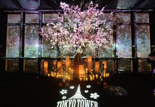 春のテーマは、「Spring Concerto」