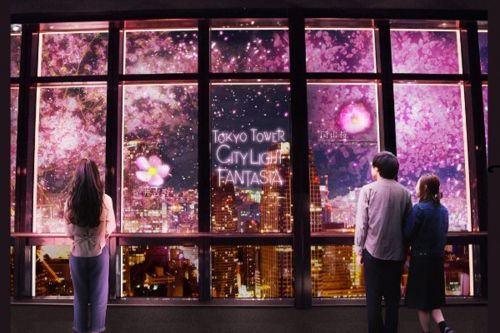 桜色に染まる東京の夜景を同時に写真に収めることができる「サクラフォトタイム」が本編の後に登場！