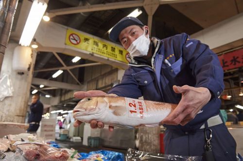 他ではなかなか買えない一匹丸々の魚も