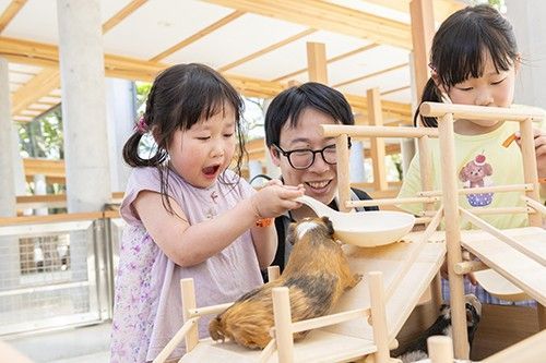 ふれあいエリア