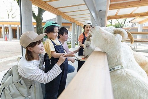 ふれあいエリア2
