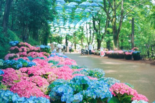 アンブレラスカイロード※画像はイメージです。