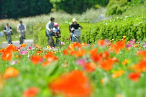 花と風を感じるサイクリング