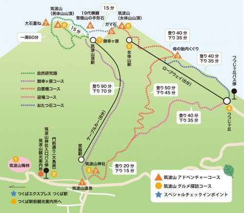 コース詳細