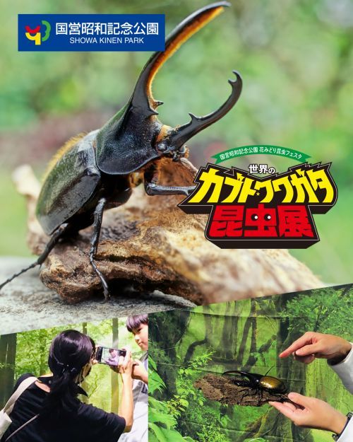 昆虫ミュージカル プチSHOW