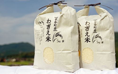 わぎえ米(品種名:夢つくし)